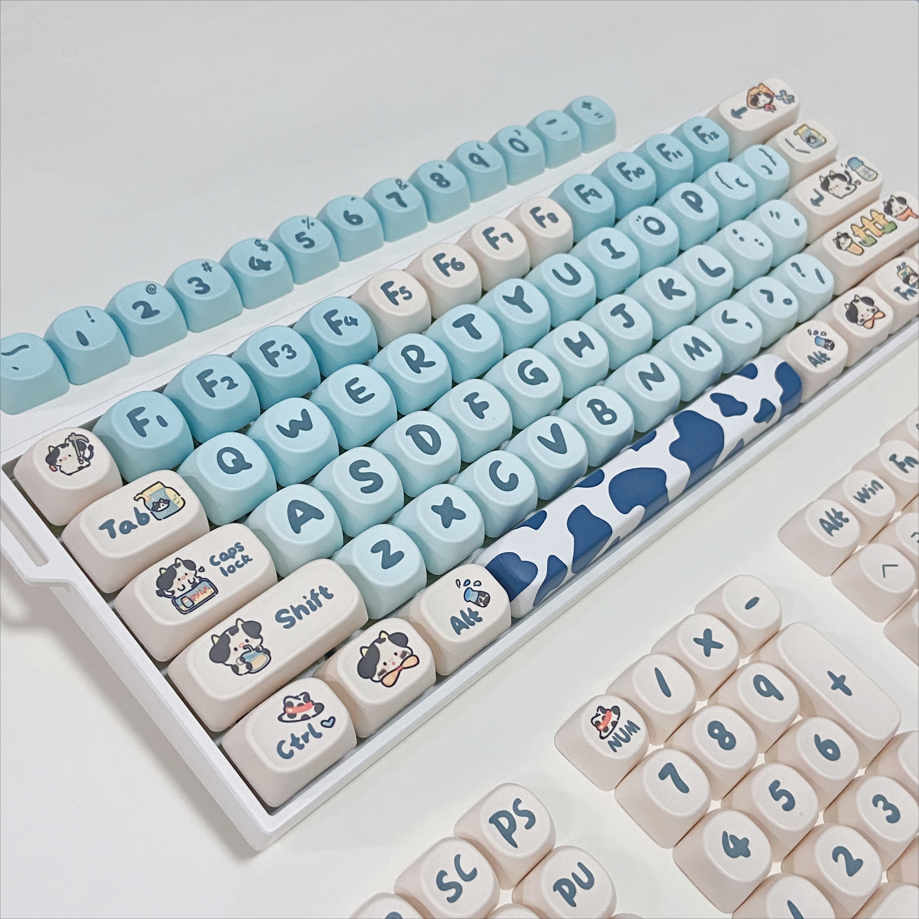 Blue Cow Keycaps for Mechanica - مراجعة Gaming Home Accessories وسعره